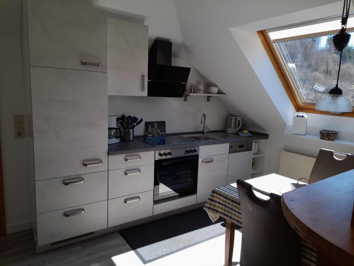 Haus Elsholz Willingen Διαμέρισμα Willingen  Εξωτερικό φωτογραφία