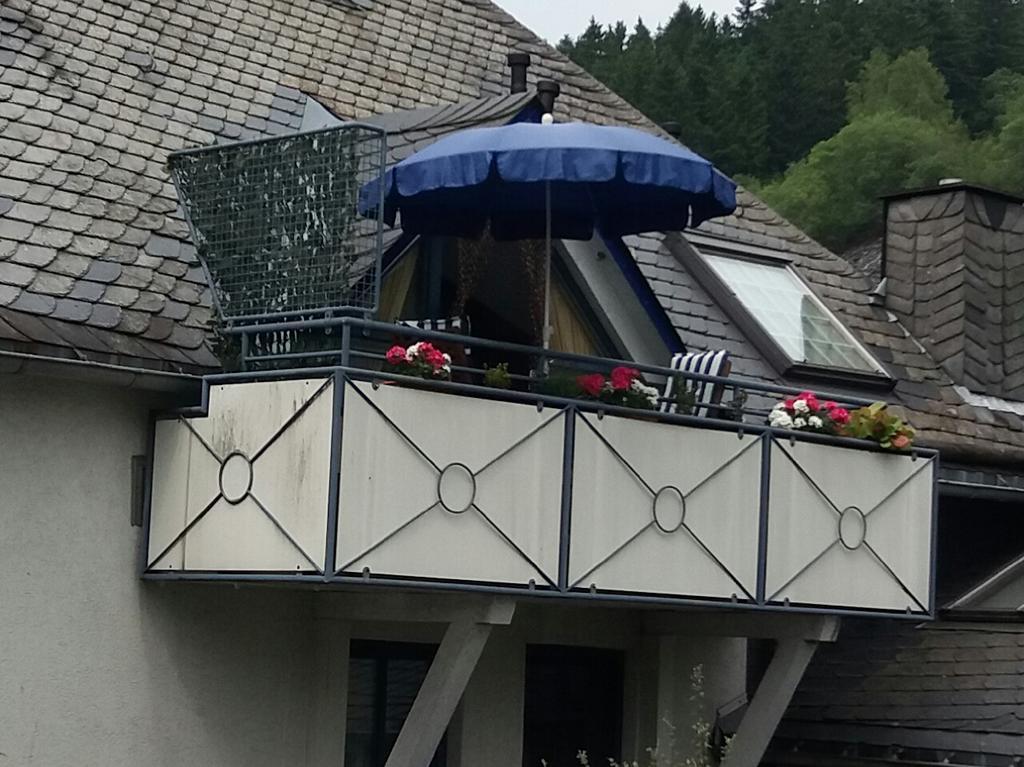 Haus Elsholz Willingen Διαμέρισμα Εξωτερικό φωτογραφία