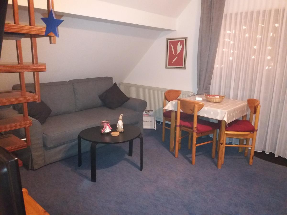 Haus Elsholz Willingen Διαμέρισμα Willingen  Εξωτερικό φωτογραφία